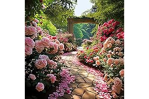 Zephérine Drouhin Climbing Rose Seeds Mixed for Planting - Climbing Outdoors Ornamental...