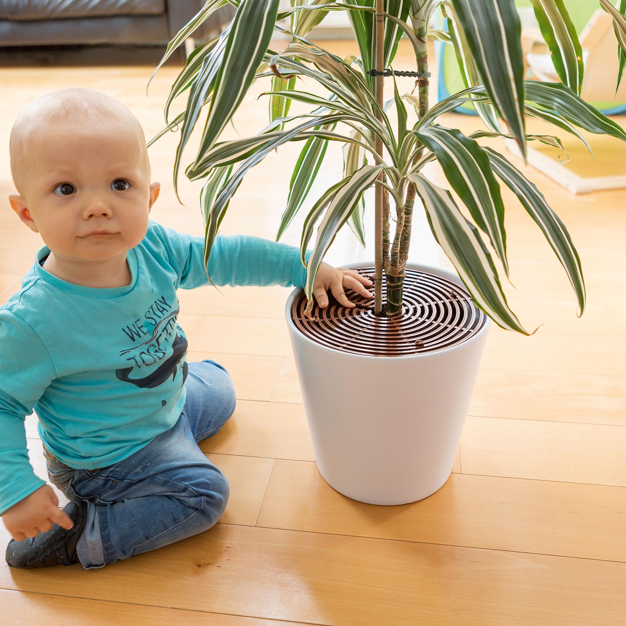 ABUS Grille protection plantes Noah 30 cm marron
