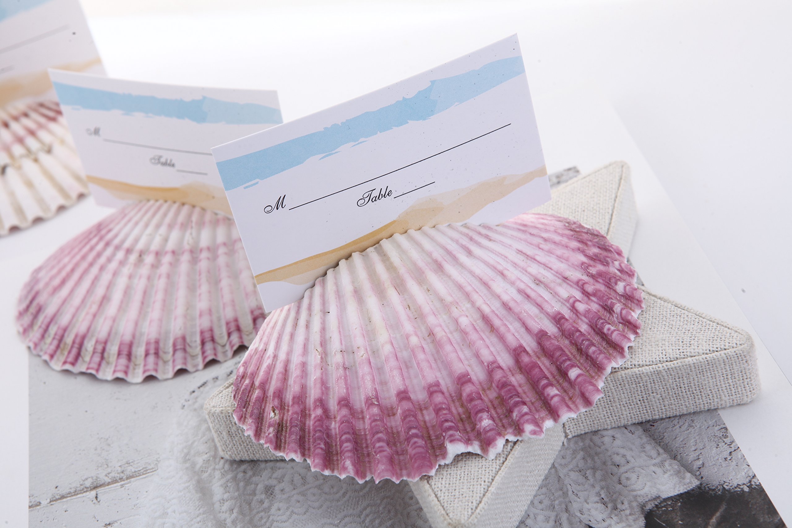 Set of 10 Beach Wedding Shell Card Holders for Your Beach Dinner Party Table Wedding Favor Wedding Table Number Card Wedding Decoration