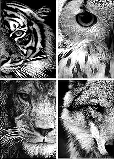 Comprar Juego de cuadros de diamantes: tigre, lobo, león, búho y diamantes, pintura por números para adultos