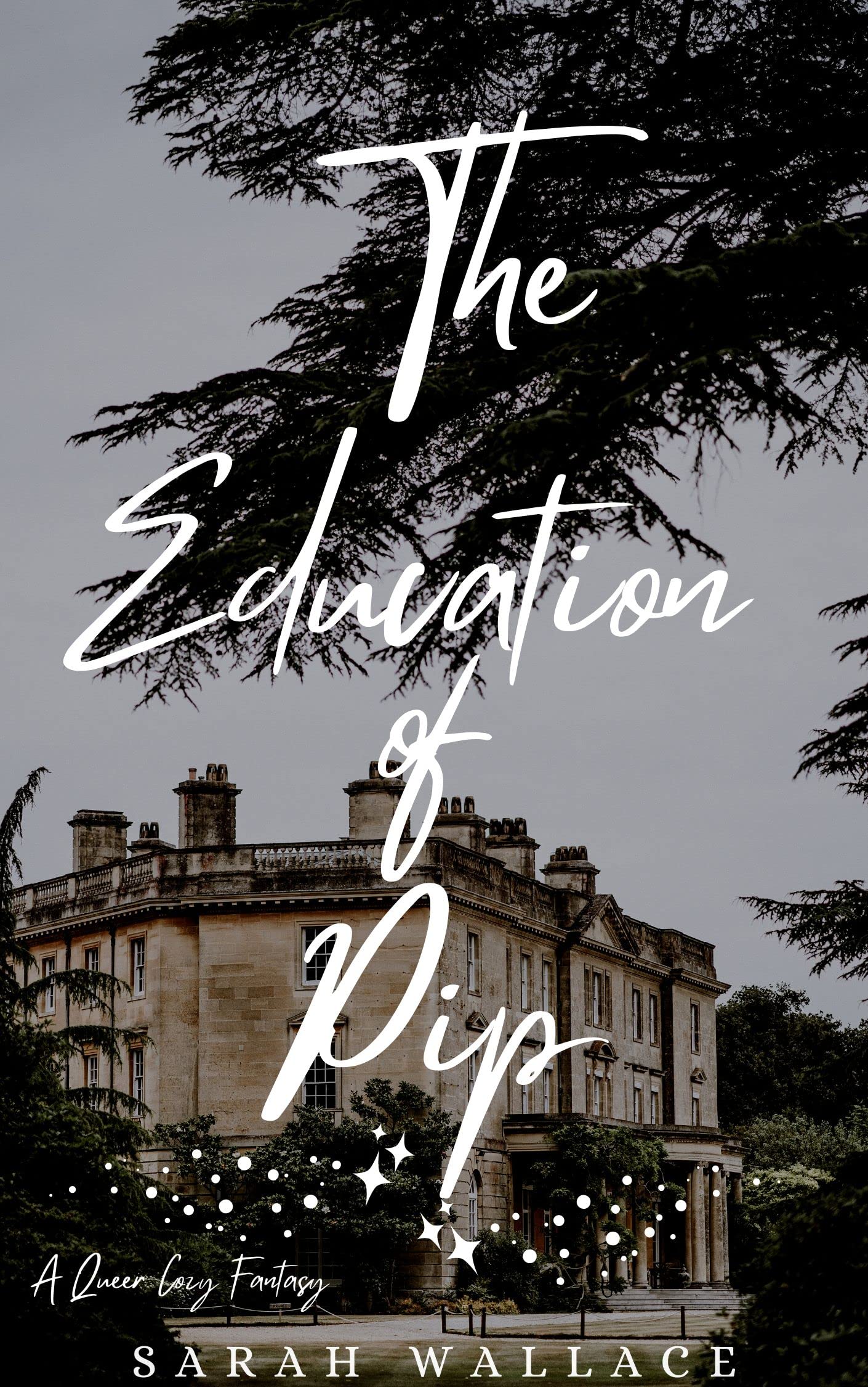 The Education of Pip: A Queer Cozy Fantasy (Meddle & Mend: Regency Fantasy Book 3)