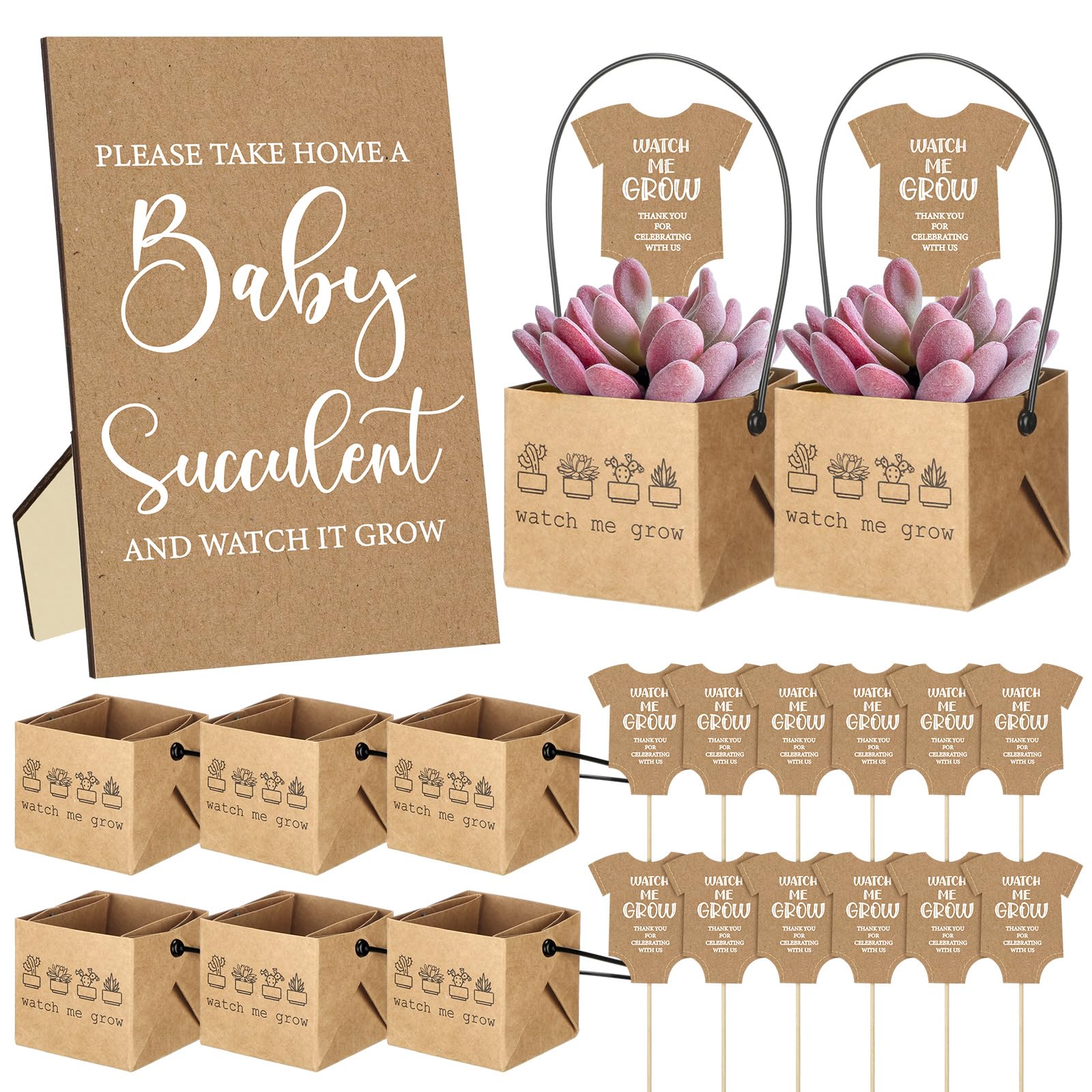 121 Pcs Baby Shower Succulents Favors Include 1 Sign 60 Tags 60 Wraps Baby Succulents Favors for Guest Gift Not Include Plants(Rustic)