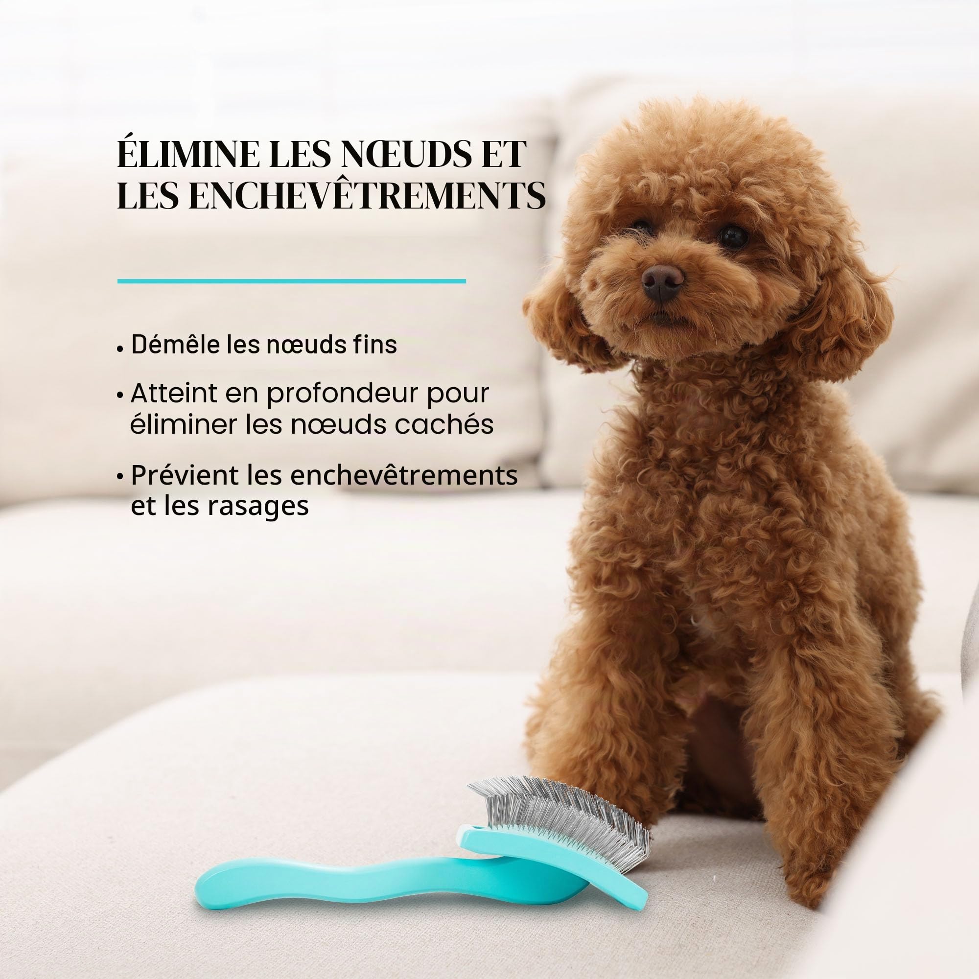 Chris Christensen Big G Brosse à démêler pour chiens (dorés, labradoodles, caniches), toilettez comme un professionnel, style démêlant en peluche, permet d'économiser du temps et de l'énergie, bleu