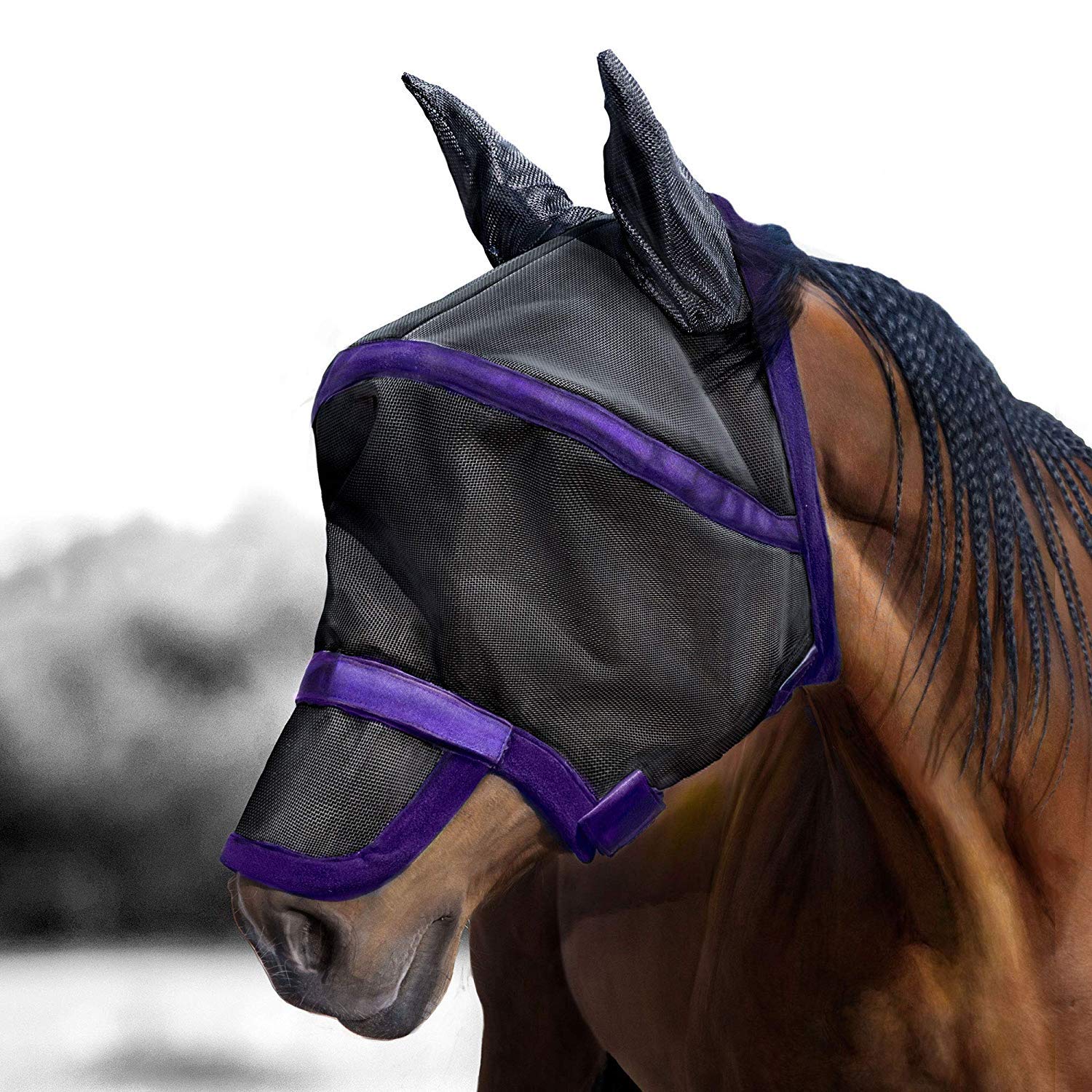Harrison Howard Maskology Supreme Nylon Framework Micro-Woven Material UV-Proof Horse Fly Mask Black/Purple (Full Size)