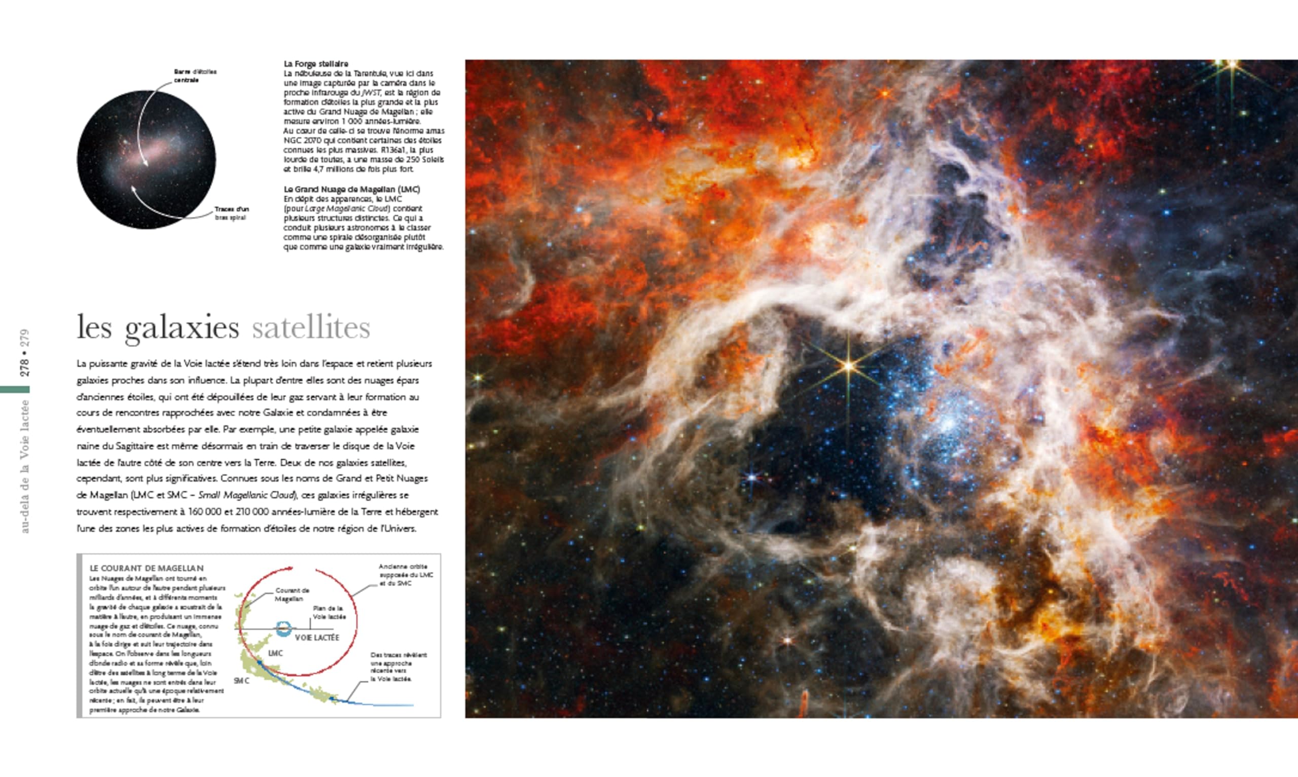 Cosmos