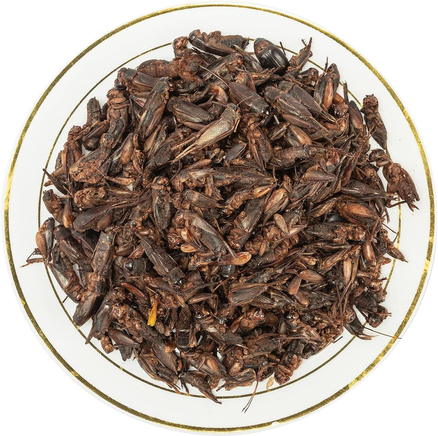 Buy Amzey Appetizing Mealworms Natural Dried Crickets Food for