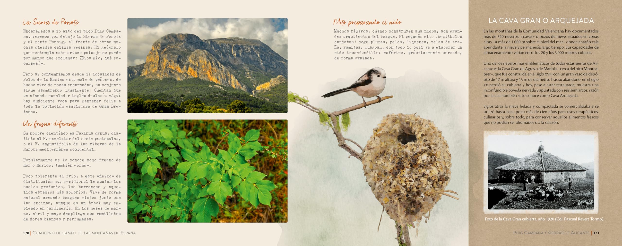 Cuaderno de campo de las montañas de España (Guías Singulares)