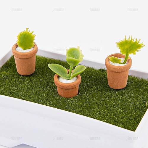 Miniatura 3 de AUEAR, Paquete de 8 mini macetas de arcilla para jardín de hadas, maceta de cerámica de cerámica, cactus y flores, maceta para suculentas a escala