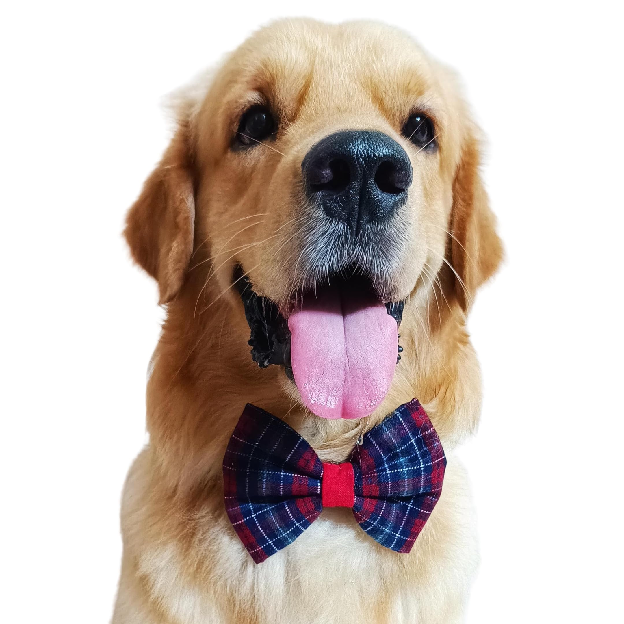 All For Fur Dog Bow Tie | Collar Pull On | Bowtie Insert | Luxury Dog Accessories | for Large to Extra Large (XL) Dogs | Blue Checks (B0D12MBSFC) Amazon Price History, Amazon Price Tracker