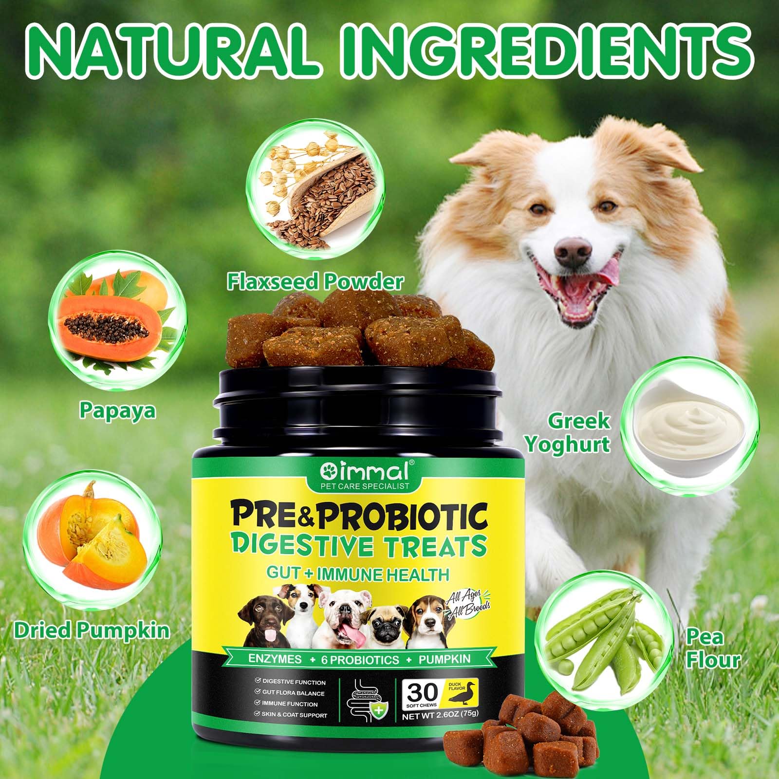 Bieyoc Probiotici per Cani, Probiotici per Cani da Masticare per Il Sistema Immunitario, Enzimi Digestivi, Probiotici Cane Prurito per Cani di Tutte Le Razze e Taglie, 30 Pezzi