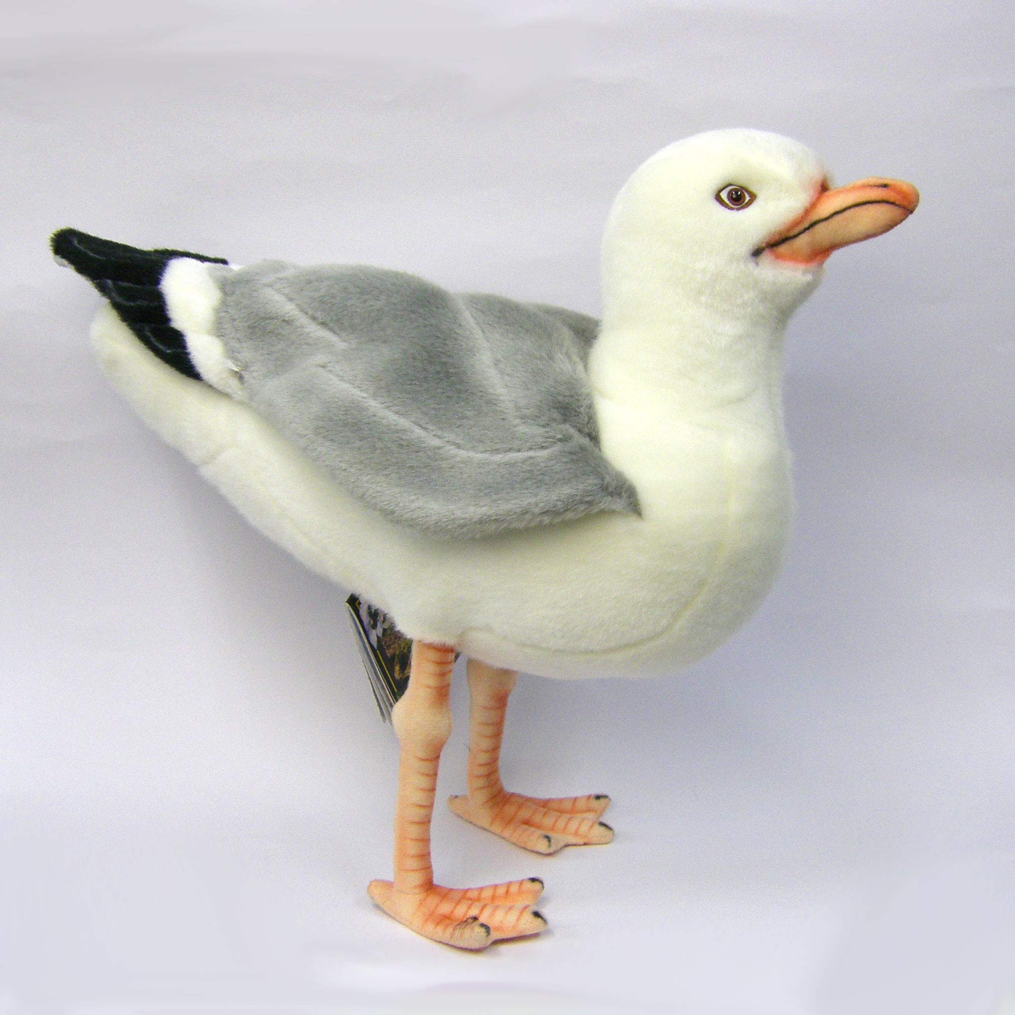 Amazon.co.jp: HANSA ハンサ ぬいぐるみ 7259 カモメ 12 SEAGULL