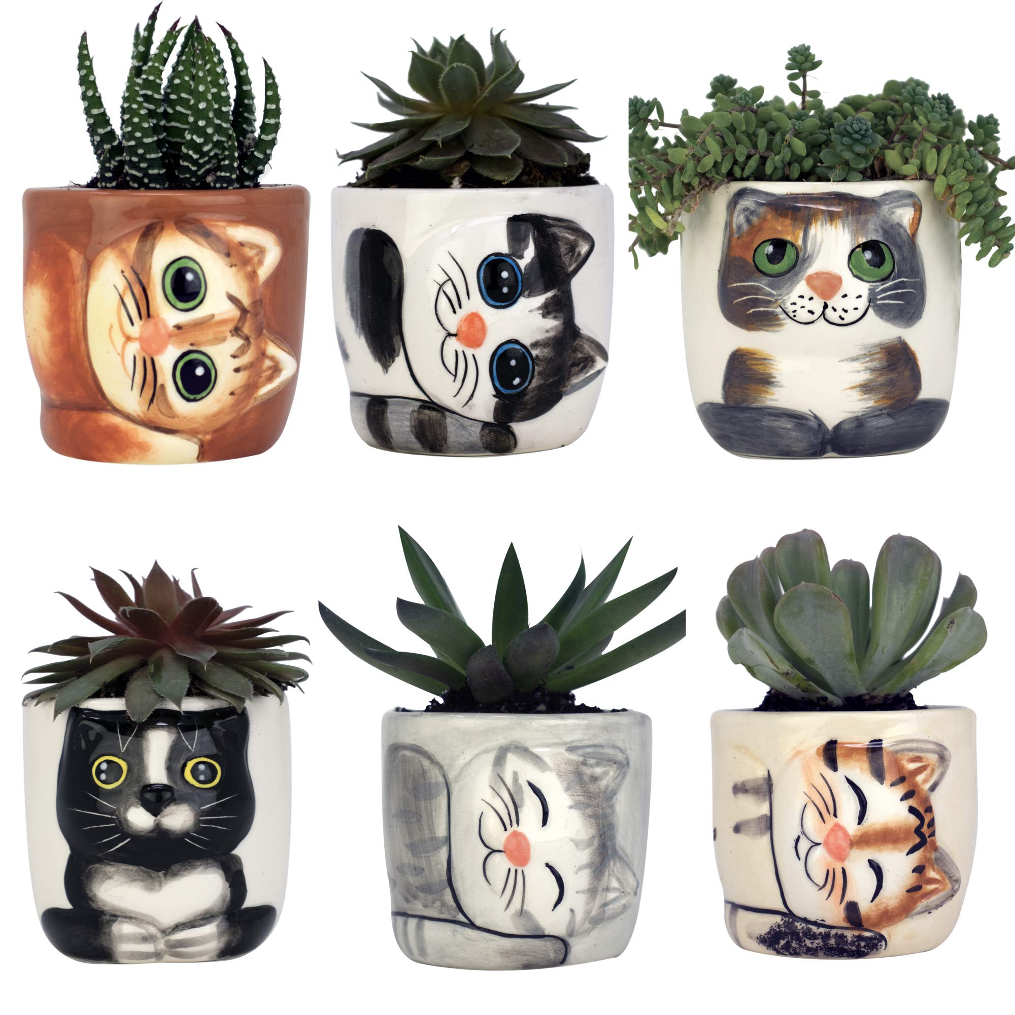 Window GardenCute Cat Planter Pot - 6 Mini 3" Succulent Kitty Pots - Cute Flower Pots for Indoor Plants - Cat Decor Vase for Cactus, Herb - Cat, Cat Owner Gifts, Unique Gifts, Gift Set