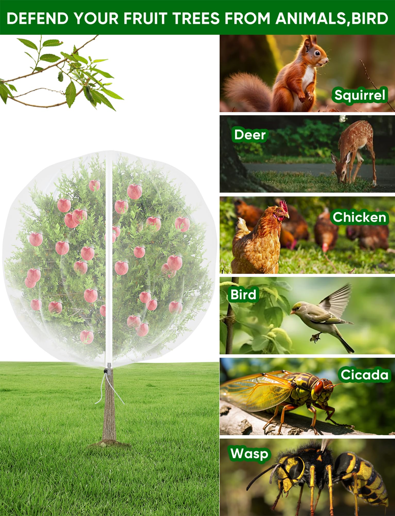 How to Keep Birds Out of Fruit Trees 