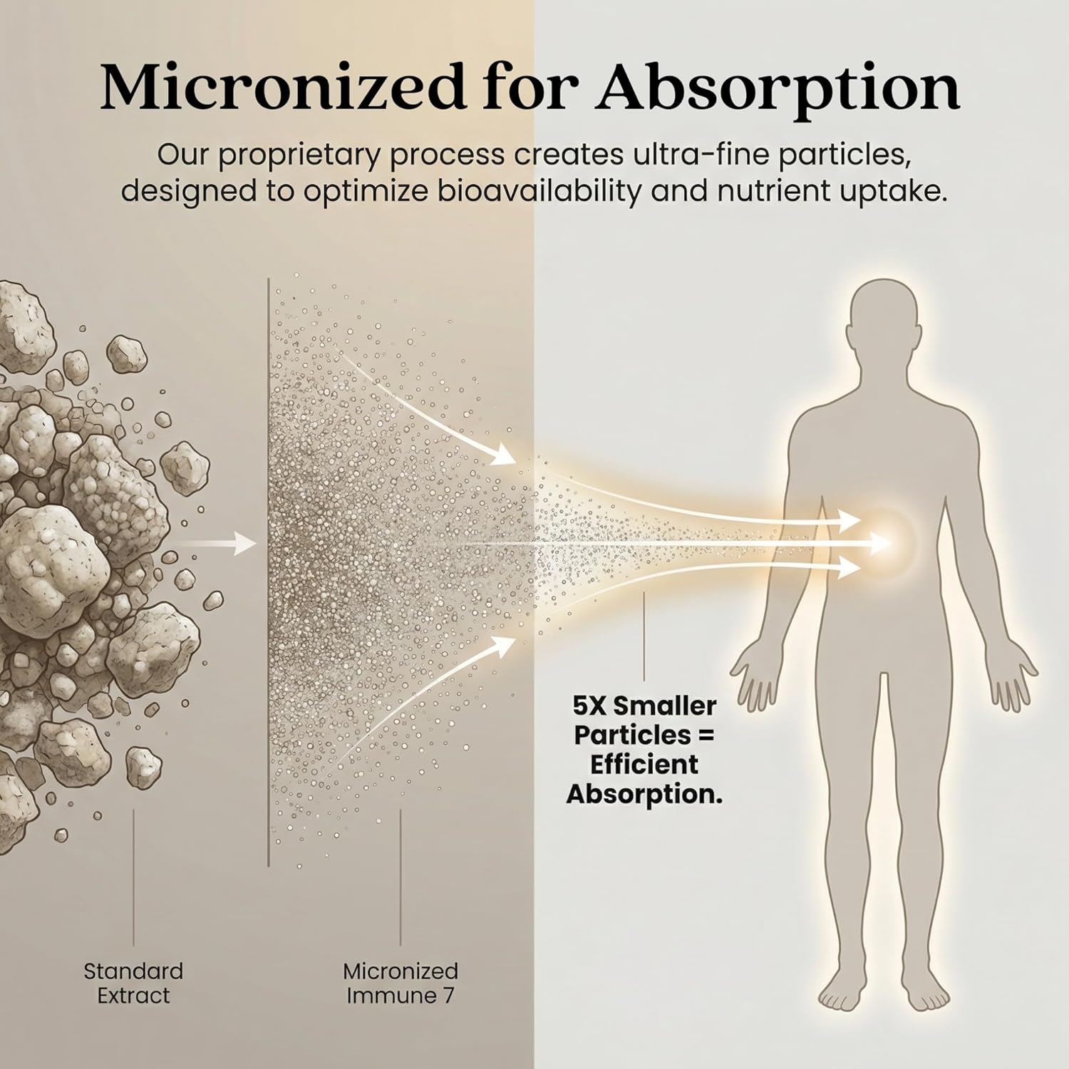 PURICA - Immune 7 Complex, 120 Vegan Capsules 120-Day Supply - Blend of Organic Sun Mushroom, Cordyceps, Red Reishi, Maitake, Shiitake & Turkey Tail for Daily Wellness & Balance, Non-GMO & Gluten-Free