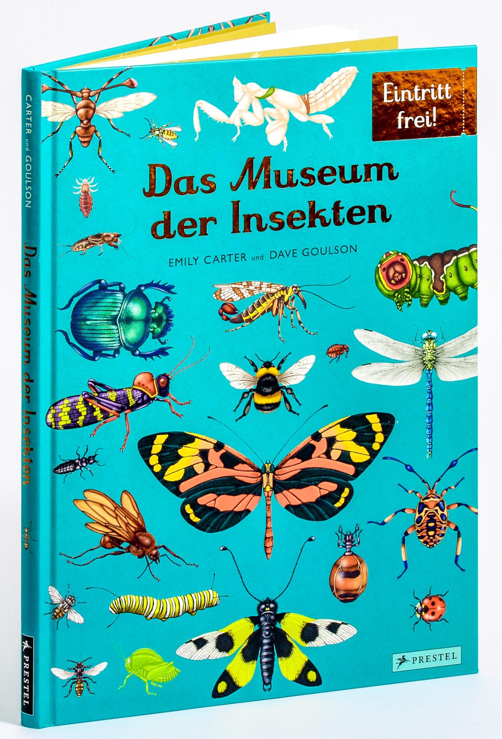 Das Museum der Insekten: Eintritt frei! - Sachbilderbuch im Großformat für Kinder ab 8 Jahren mit faszinierenden Illustrationen von Emily Carter: 16