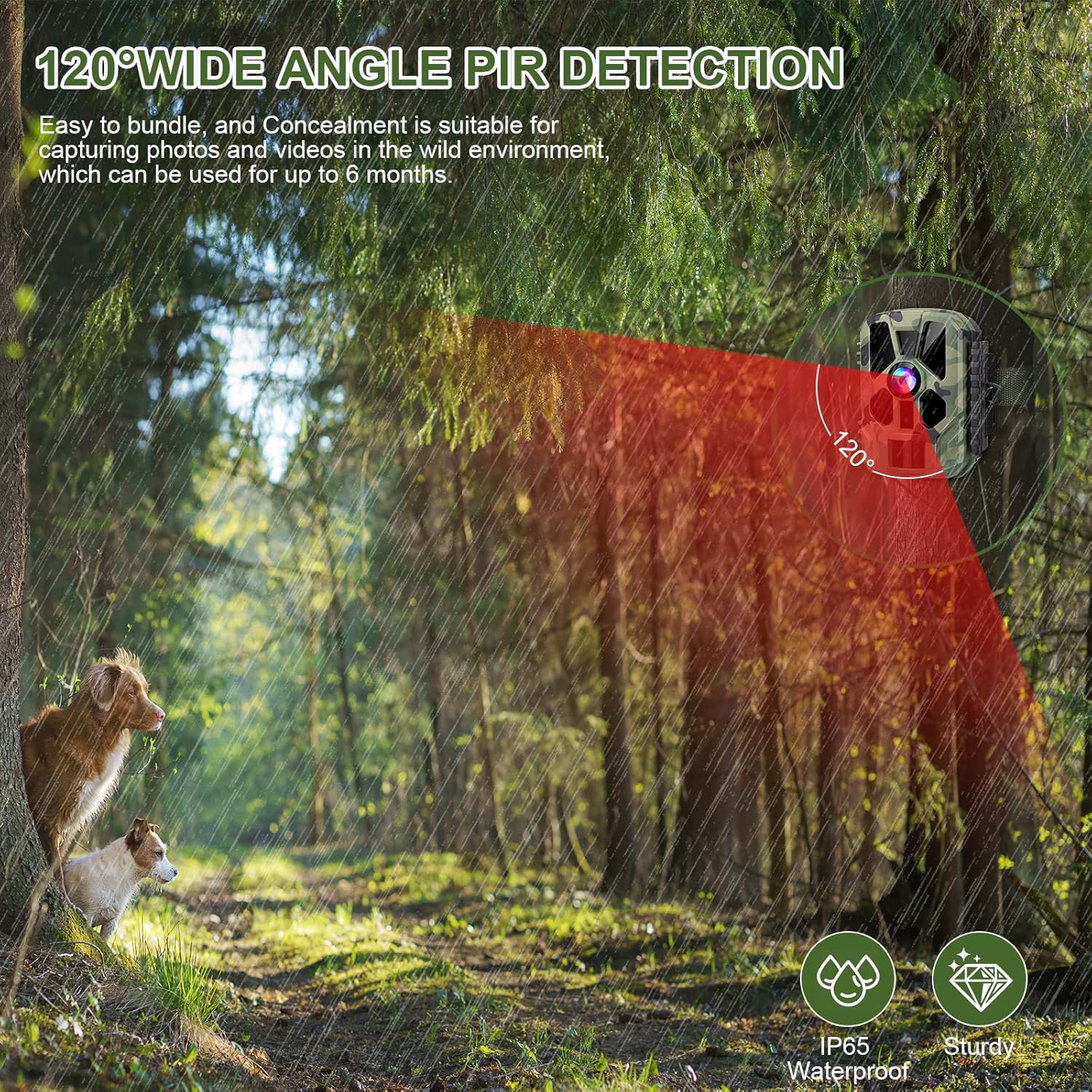 AiBast Fototrappola, Mini Fotocamera da Caccia 20MP 1080P HD con Scheda MicroSD da 32GB, Fototrappola Infrarossi Invisibili Visione Notturna Fino a 20m, Telecamera da Caccia per Esterno Caccia - Immagine 5