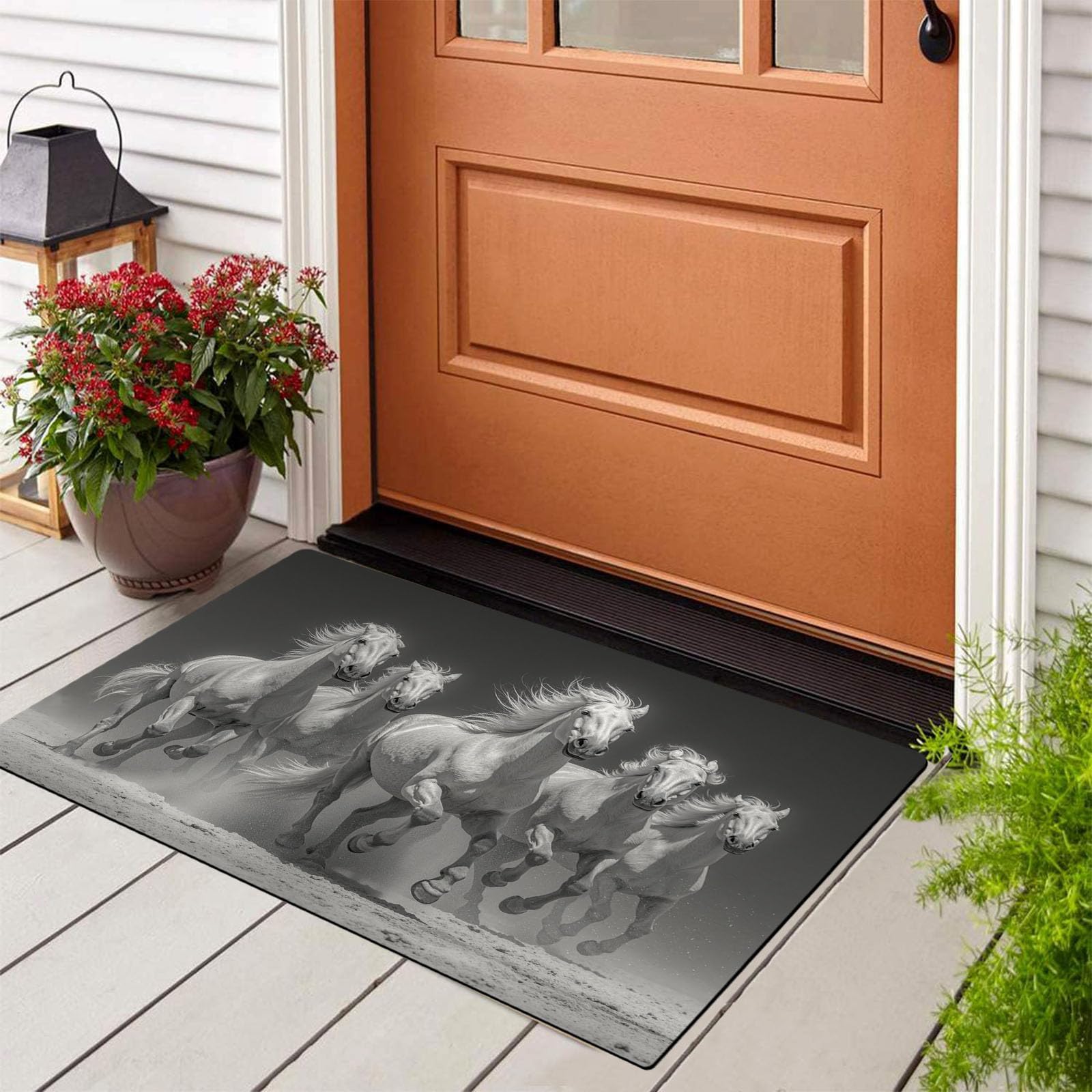 Tapis piège visuel anti-glissade paillasson lavable cheval gris
