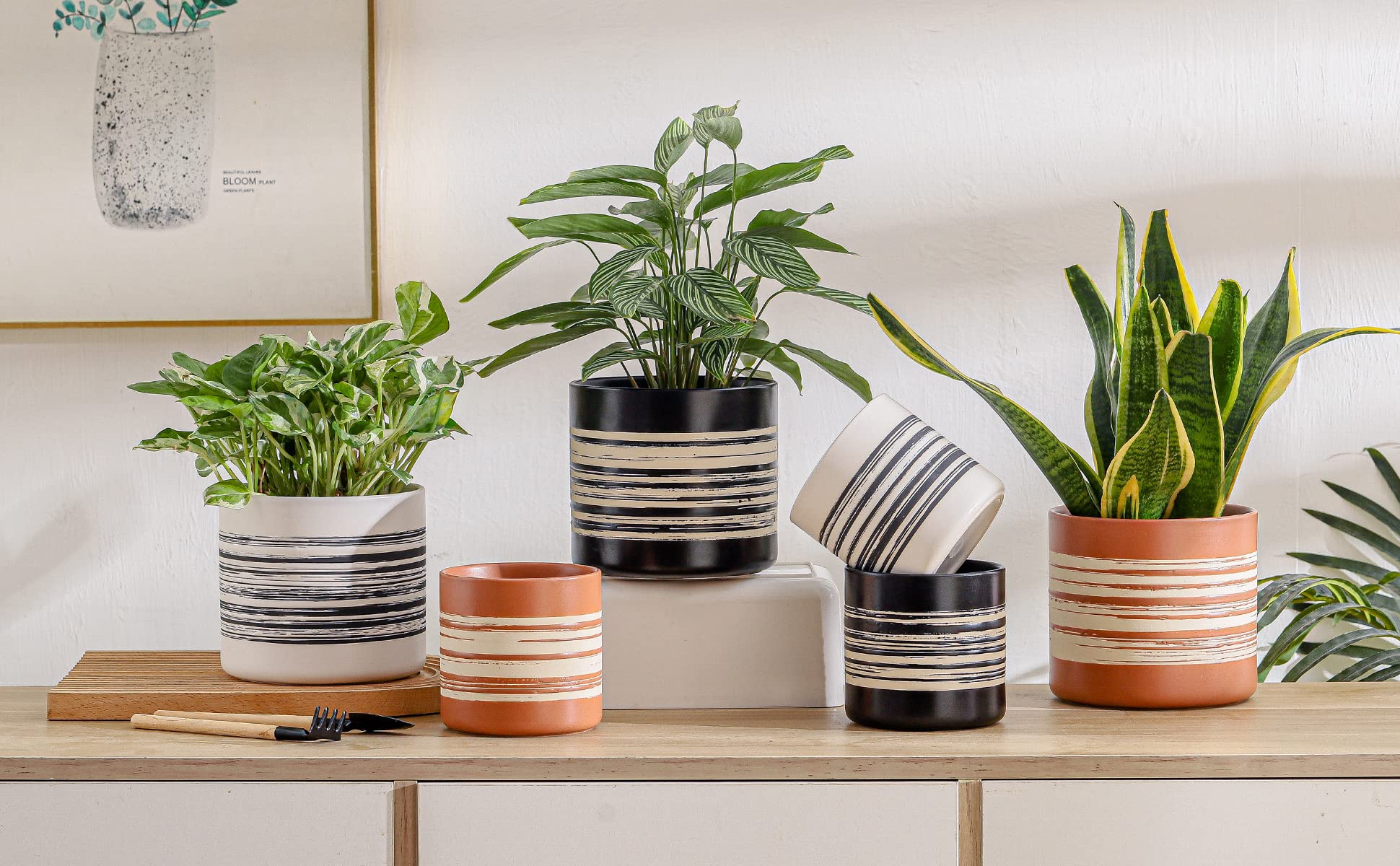 Nihow Vasi moderni in ceramica – 10,5 + 15,5 cm per tutte le piante da