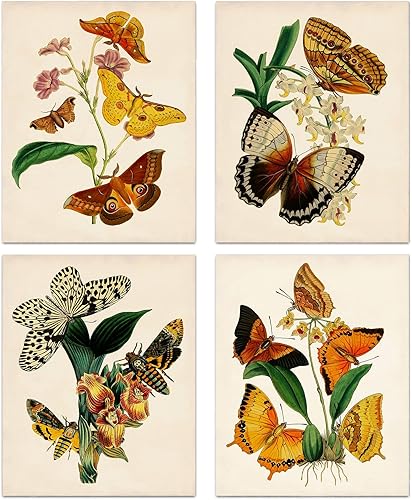 Arte de pared de mariposa botánica retro, impresiones de lienzo vintage, carteles estéticos florales de naturaleza para dormitorio universitario,