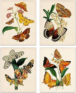 Retro Botanical Butterfly Wall Art Prints, Vintage Butterfly Canvas Wall Art,Butterfly Floral Nature Aesthetic Posters for College Dorm Room Preppy Room Bedroom Decor, Set of 4(8x10'' Unframed)