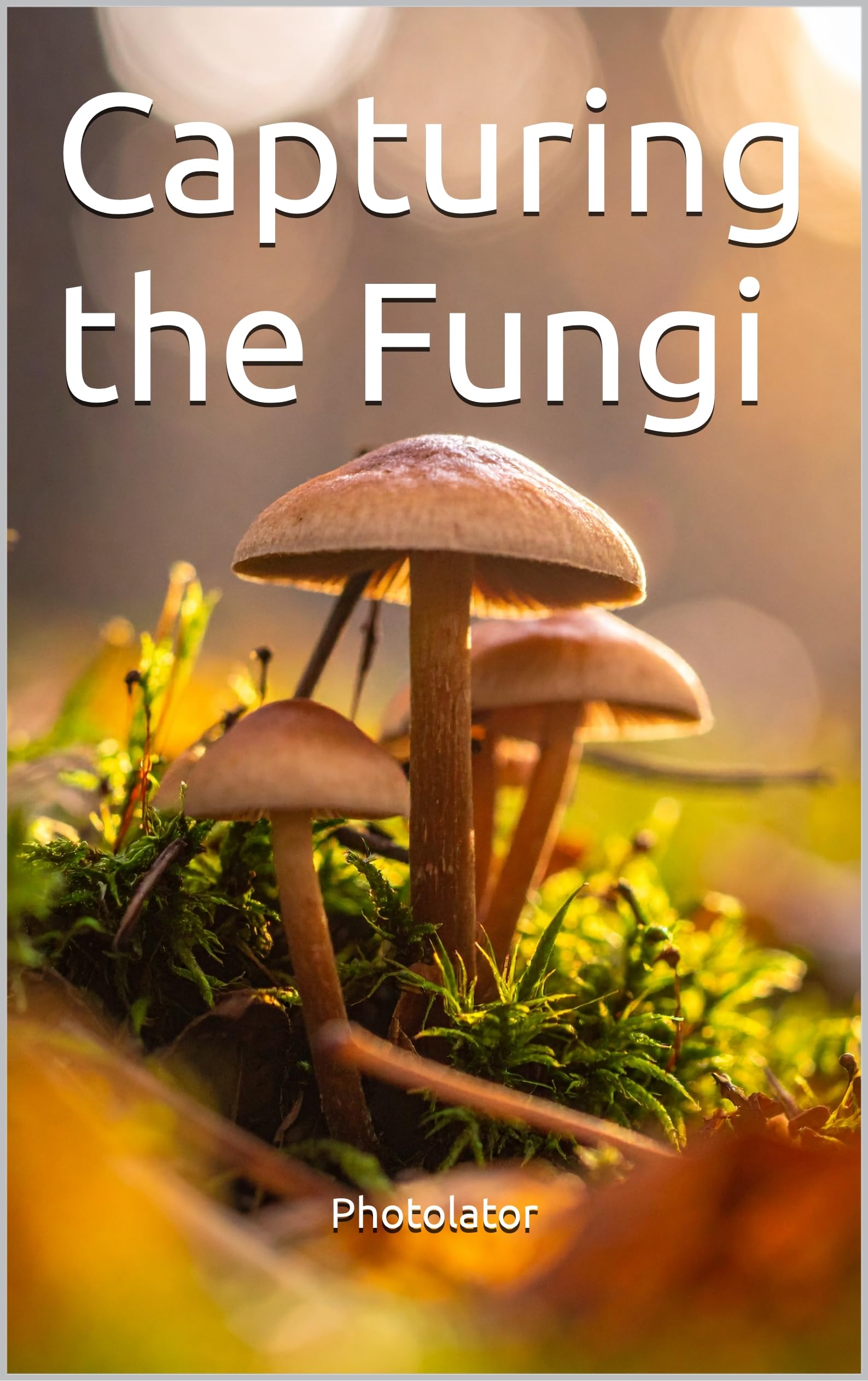 Mushroom Photography Capturing the Fungi livre de techniques de pointe