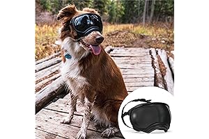 V2 Dog Goggles: Adventure-Ready Protection for Your Canine Companion