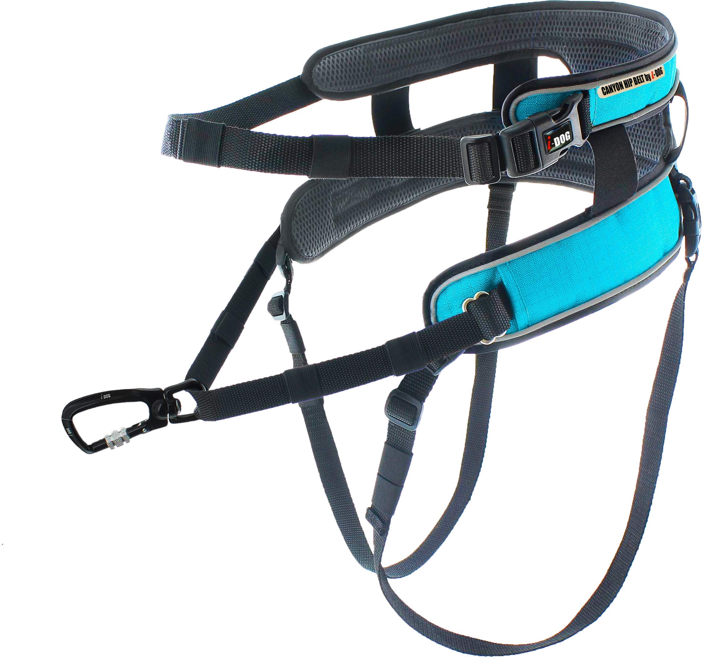 Baudrier Canyon Gamme ALM Bleu cani Cross, cani Rando, cani Jogging, cani Trail I-​dog est Une Marque Française.