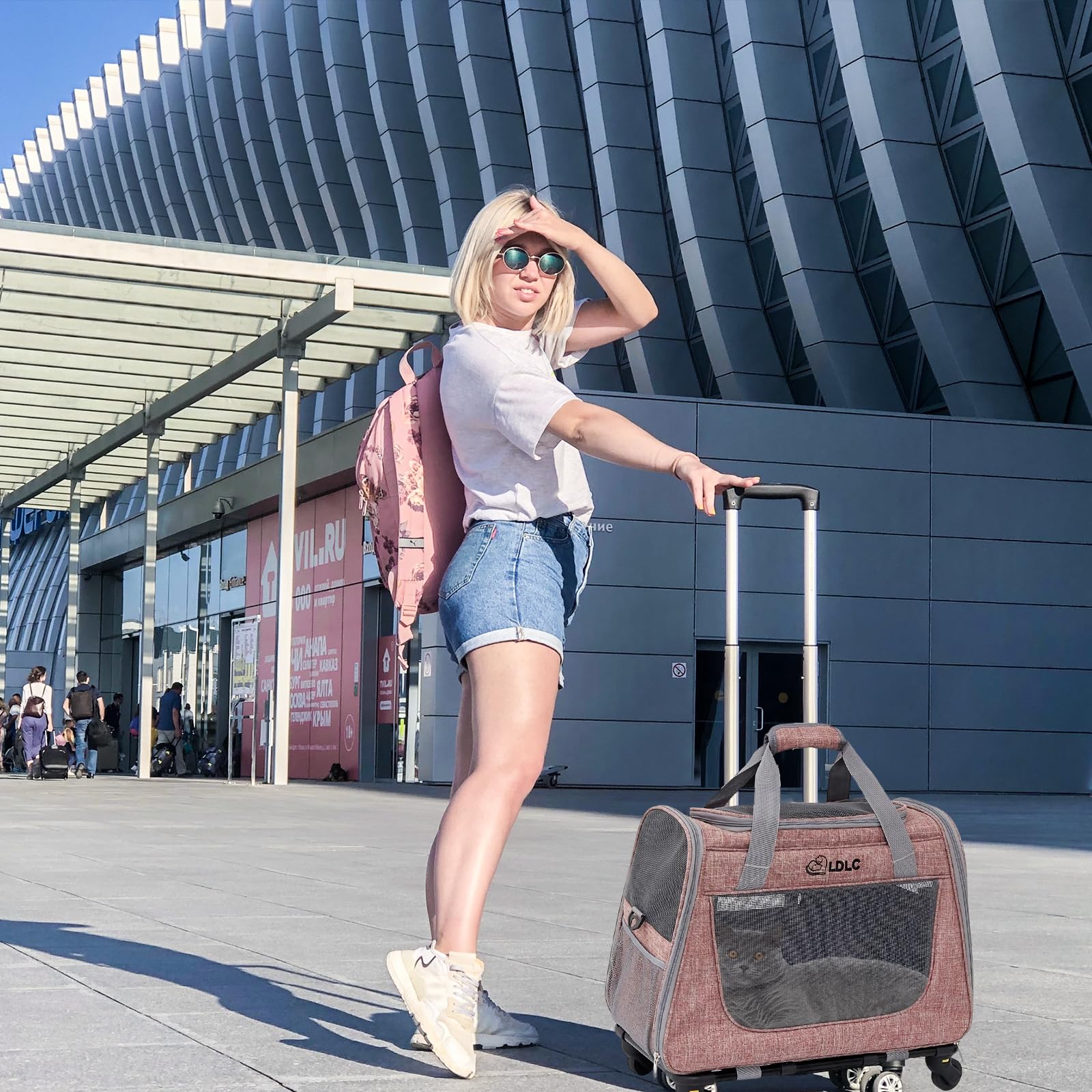 PETCUTE Transportín Plegable para Mascotas,Transportín Perro Pequeño con Ruedas, Transportín para Gatos con Colchón Suave y Hebilla de Seguridad,Viajar en Tren/Automóvil/Restaurante/Avión,Rosa claro