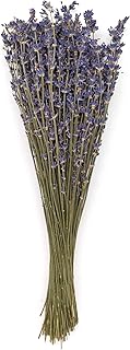 Floral French Dried Lavender, 1 EA