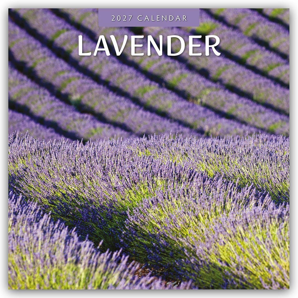 Lavender 2027 Square Wall Calendar: Original Red Robin Publishing Ltd-Kalender [Mehrsprachig] [Kalender]
