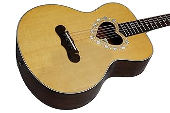 A.G. ZEMATITS CAM LTDアコースティックミニギター A.G. ZEMATITS CAM LTDアコースティックミニギター