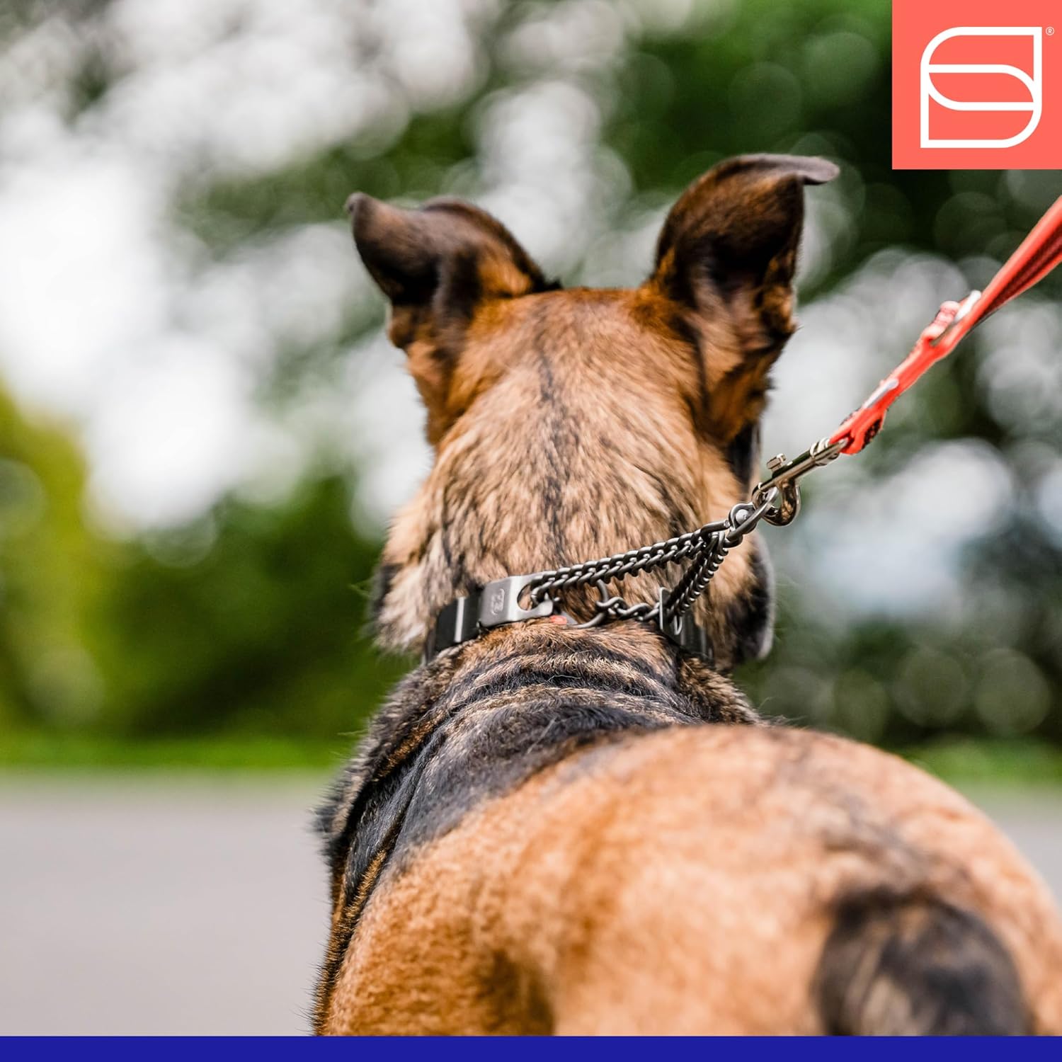 Herm. Sprenger NeckTech Fun Dog Training Collar with Quick Release Snap and Swivel, Anti Pull Collar, Stainless Steel Black (18" Neck Size; 20" Chain Length)