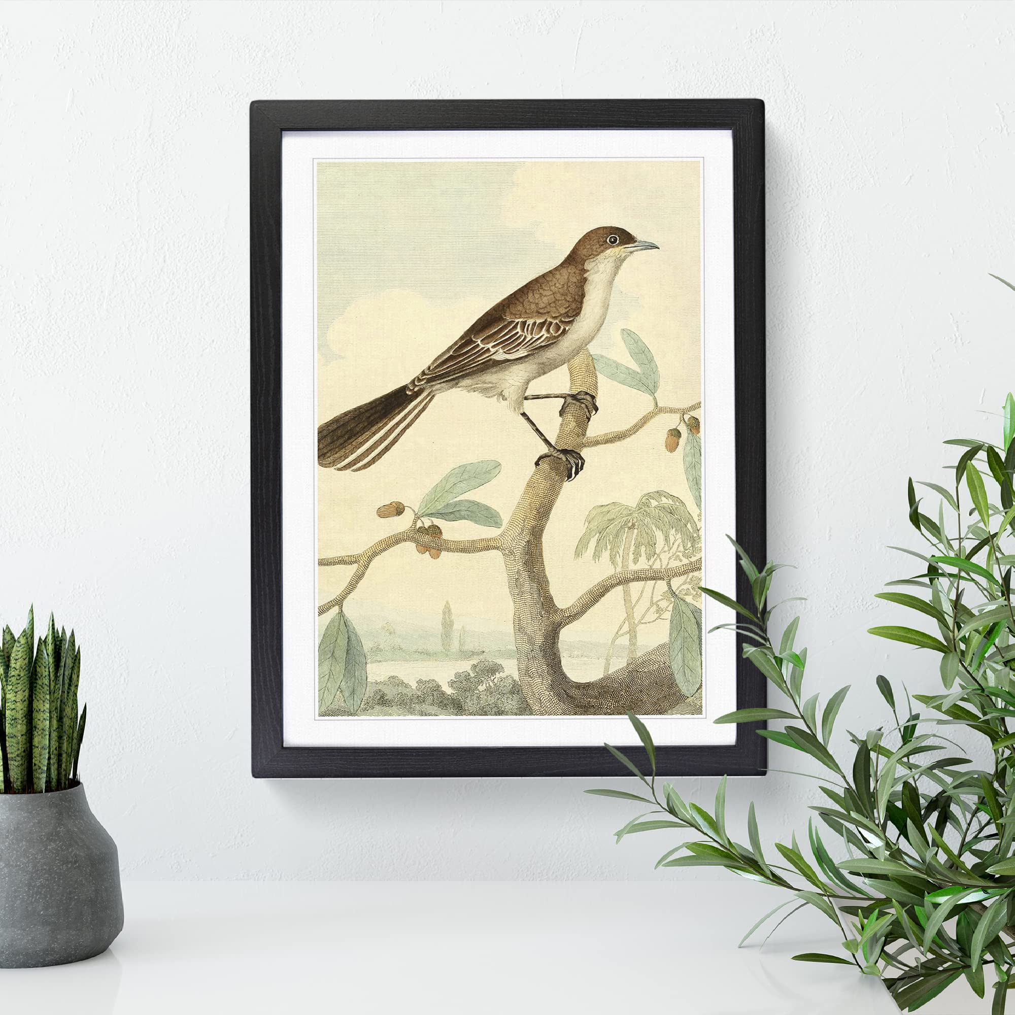 Vintage Charles R Ryley Mocking Thrush Vintage Framed Wall Art Print - Image 2