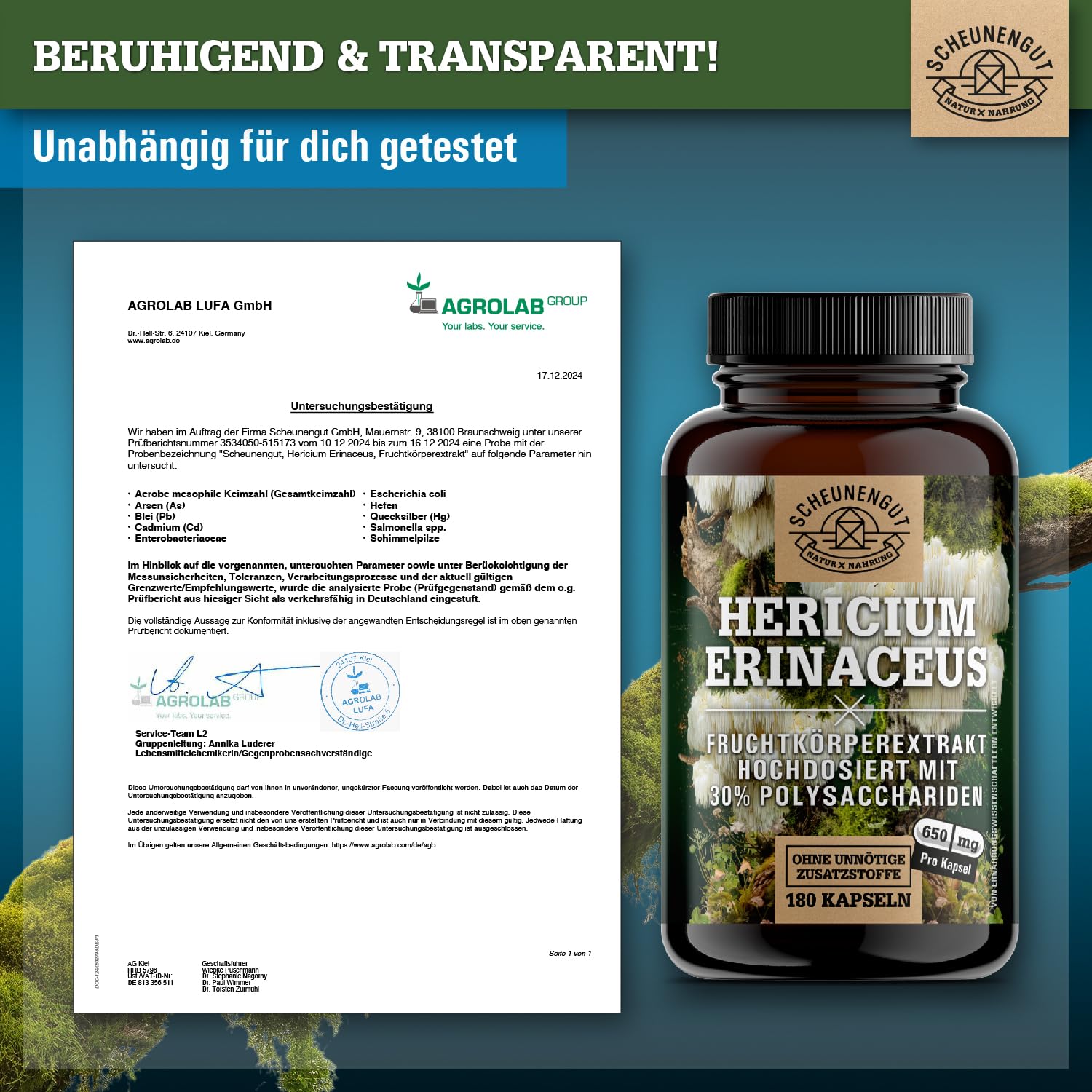 Lions Mane 1950mg -WICHTIG: 30:1 Extrakt (=58500mg Hericium Erinaceus pro Tagesdosis) +30% Polysaccharide +5% Beta Glucan -Lions Mane Kapseln- Vegan + Laborgeprüft DE SCHEUNENGUT®