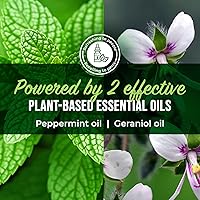 Vista 4 de Spray repelente de arañas con aceite de menta de Mighty Mint – Control natural de insectos para interiores y exteriores para arañas e insectos