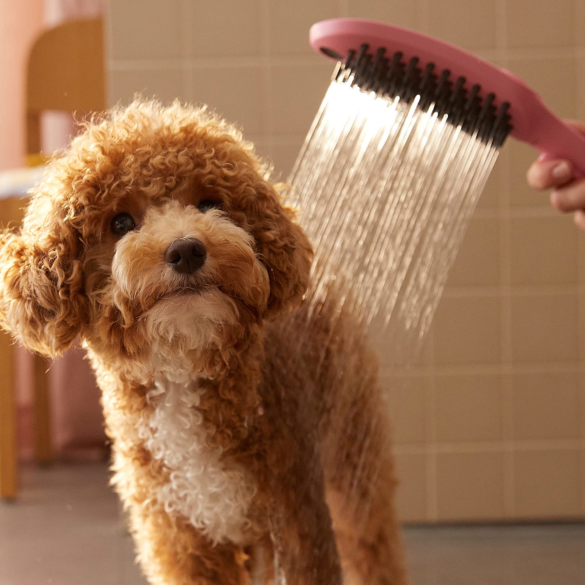 hansgrohe DogShower Główka prysznicowa dla psów 150 3jet z masującymi dyszami Pink, 26640560