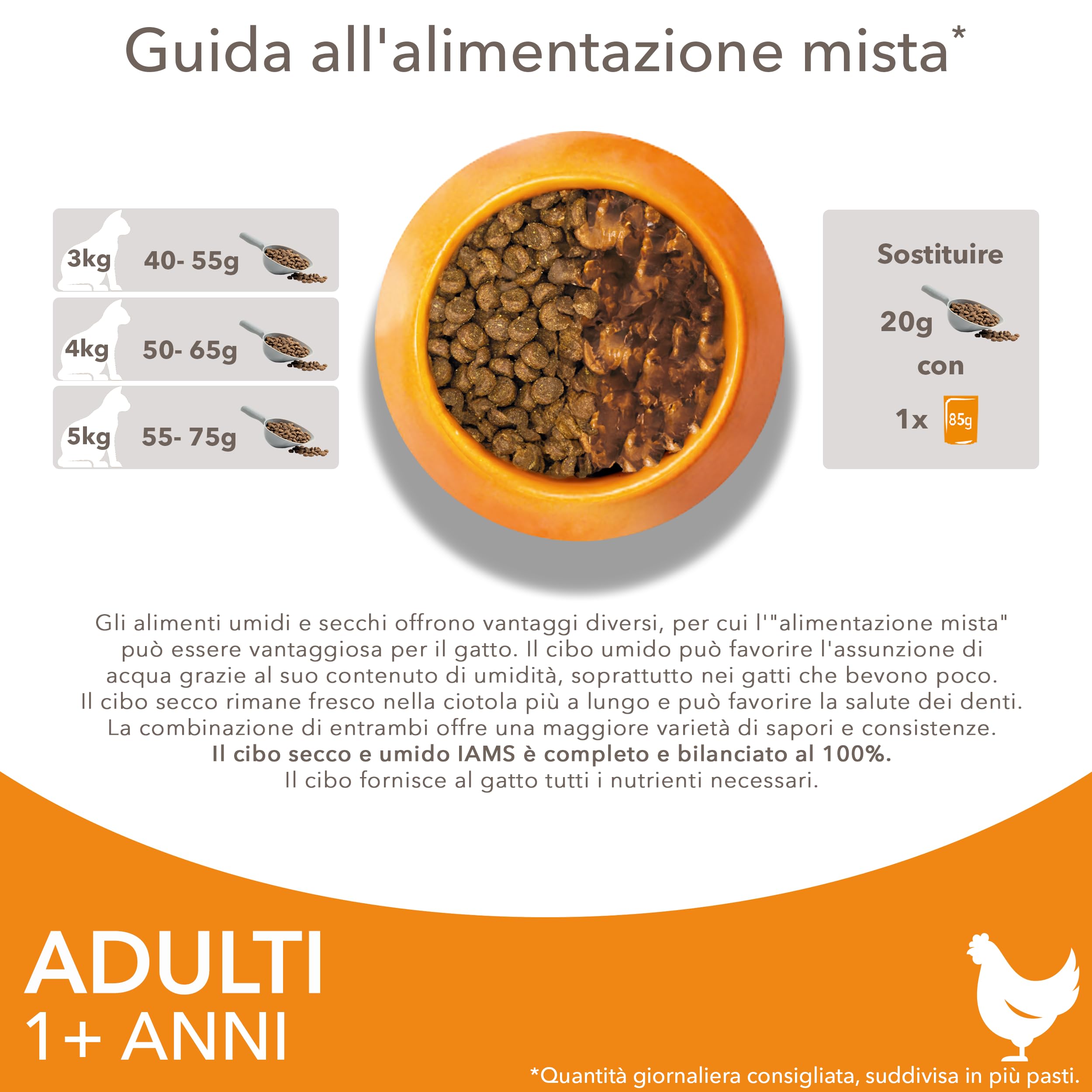 IAMS Cibo secco per gatti con pollo - Cibo secco per gatti da 1-6 anni, 10 kg
