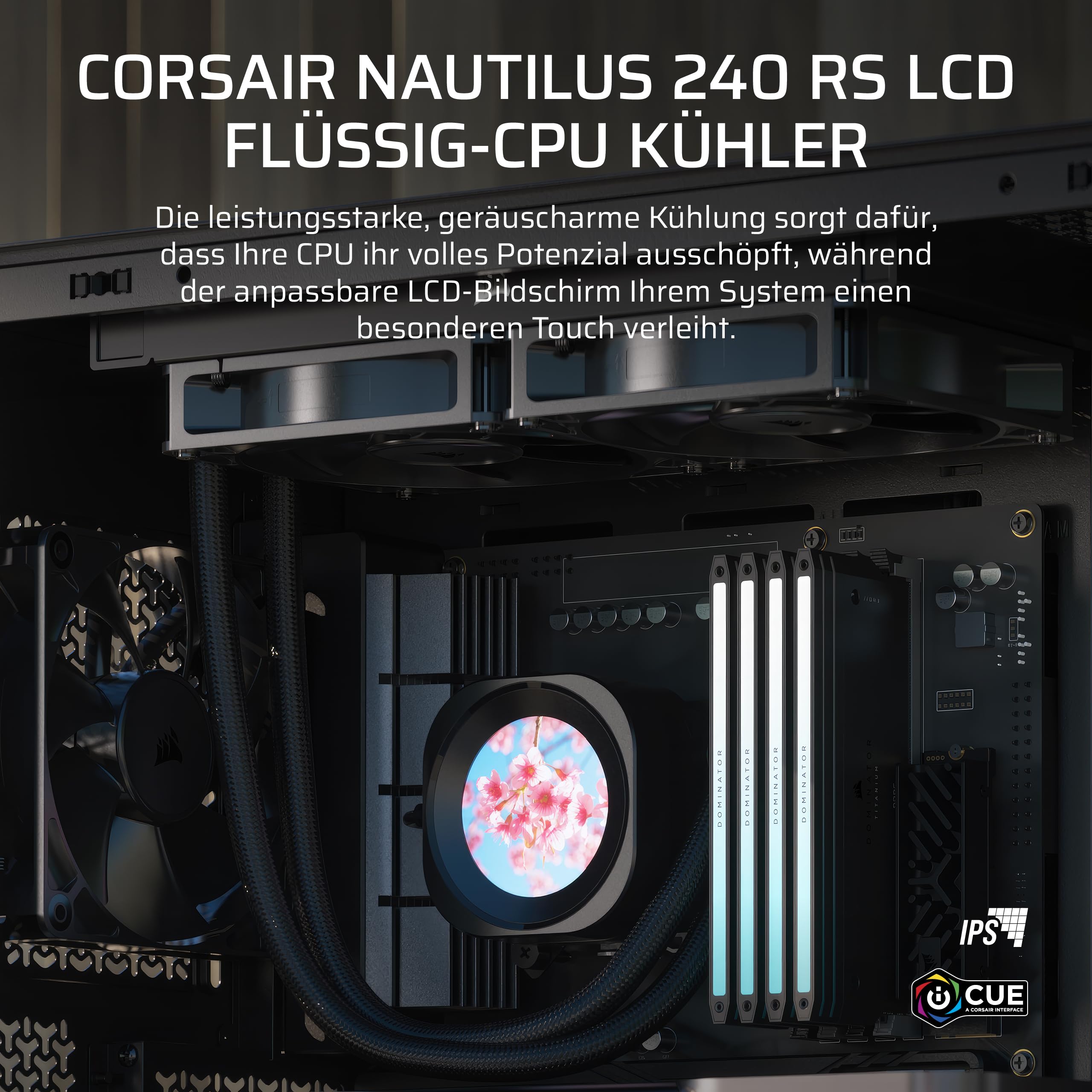 CORSAIR Nautilus 240 RS LCD Flüssig-CPU-Kühler – 2,1-Zoll-IPS LCD-Bildschirm, 240mm AIO, Einfache Daisy-Chain-Verbindungen, Intel LGA 1851/1700, AMD AM5/AM4 – Enthält 2X RS120-Lüfter – Schwarz