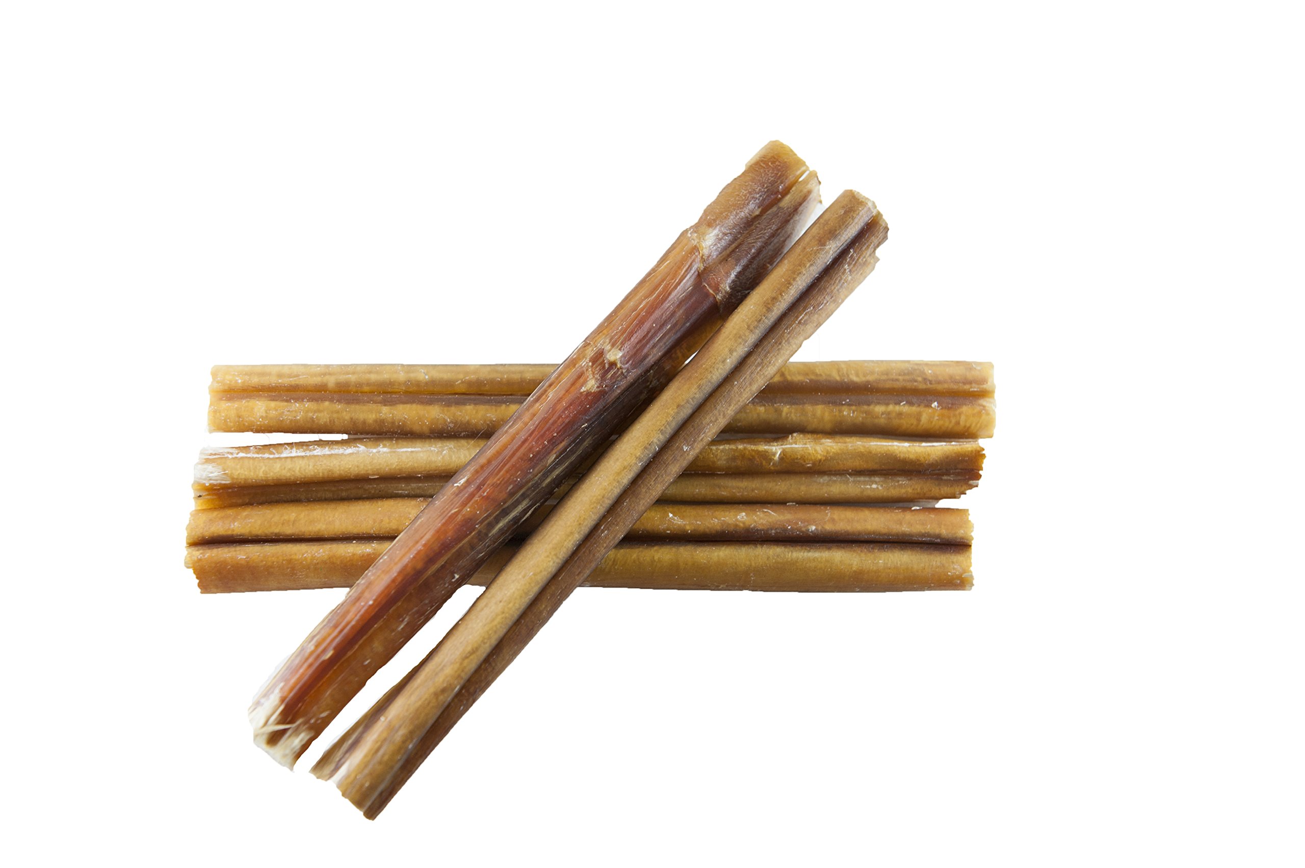 Are Bully Sticks Safe For Dogs Teeth