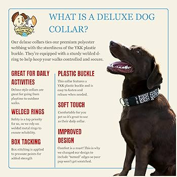 Amazon.com : Country Brook Petz - Deluxe Leopard Print Dog