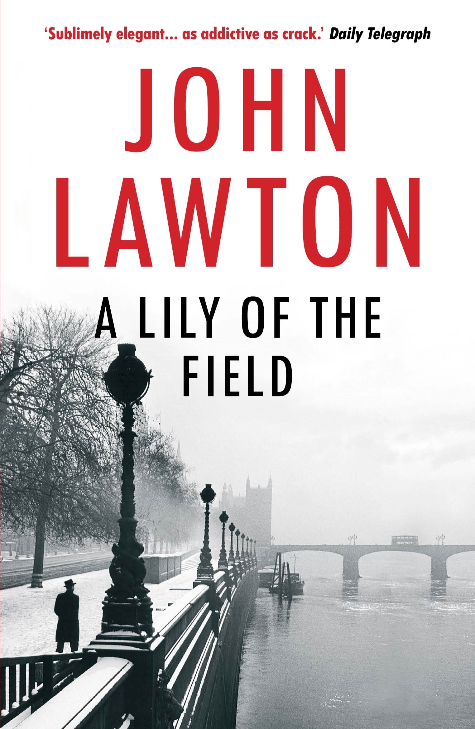 A Lily of the Field (Inspector Troy series, 7)