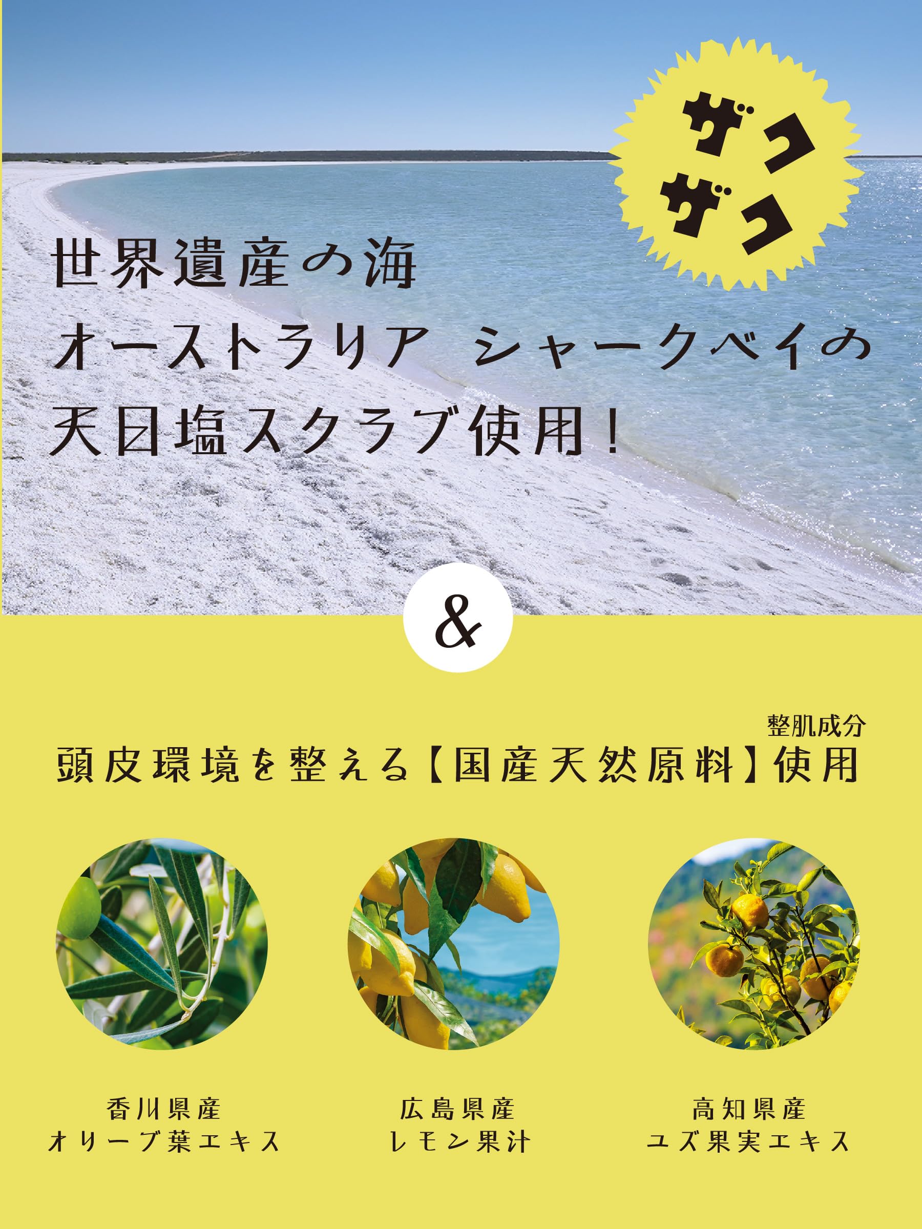Amazon | シャーキー スクラブシャンプー [天日塩スクラブ] グリーン