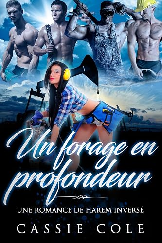 Un forage en profondeur: Une romance de harem inversé