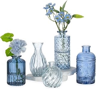 Glasseam Kleine Glasvasen für Tischdeko, 5er Blumenvasen Set für Pflanzen