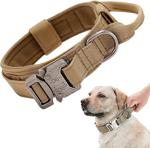 Collar de perro táctico, ajustable con asa de control, collar acolchado ancho, collar de nailon para perros medianos y grandes, entrenamiento de caza, con hebilla de metal resistente (XL, caqui)