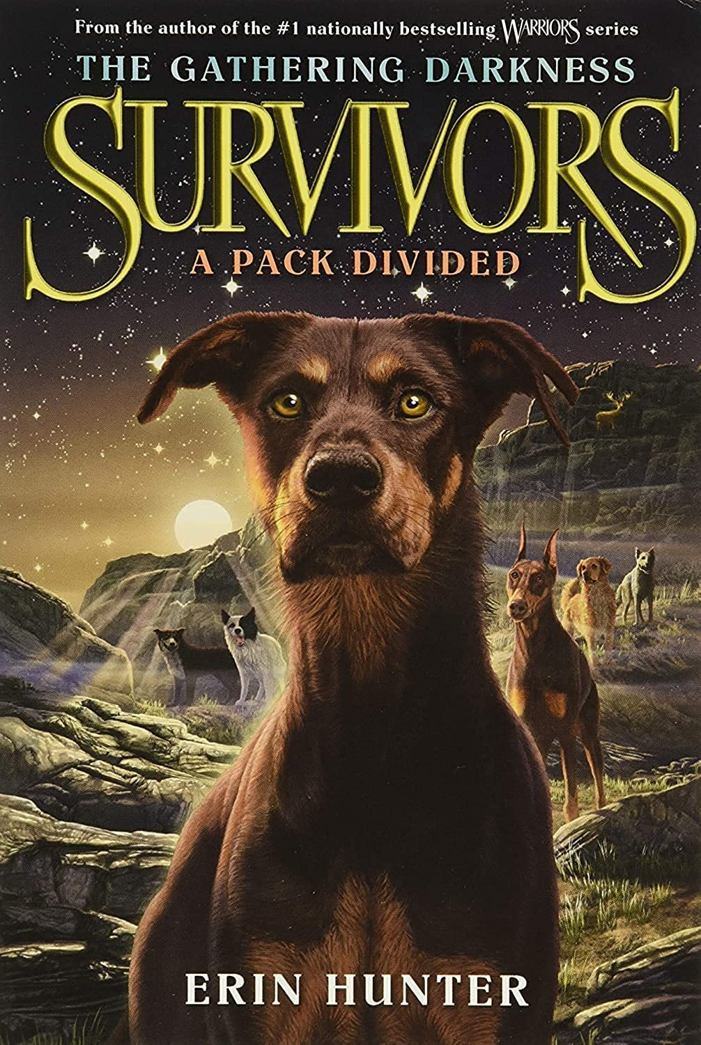 HarperCollins Survivors: The Gathering Darkness #1: A Pack Divided