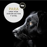 Ver la foto 6