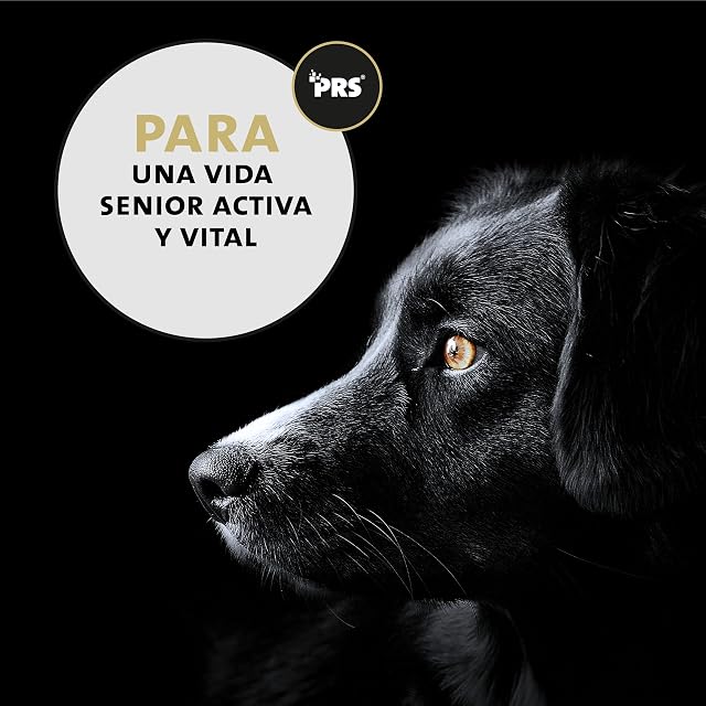 Foto 6 de 7 de Peticare Senior Vital Mix Polvo para Perros Mayores