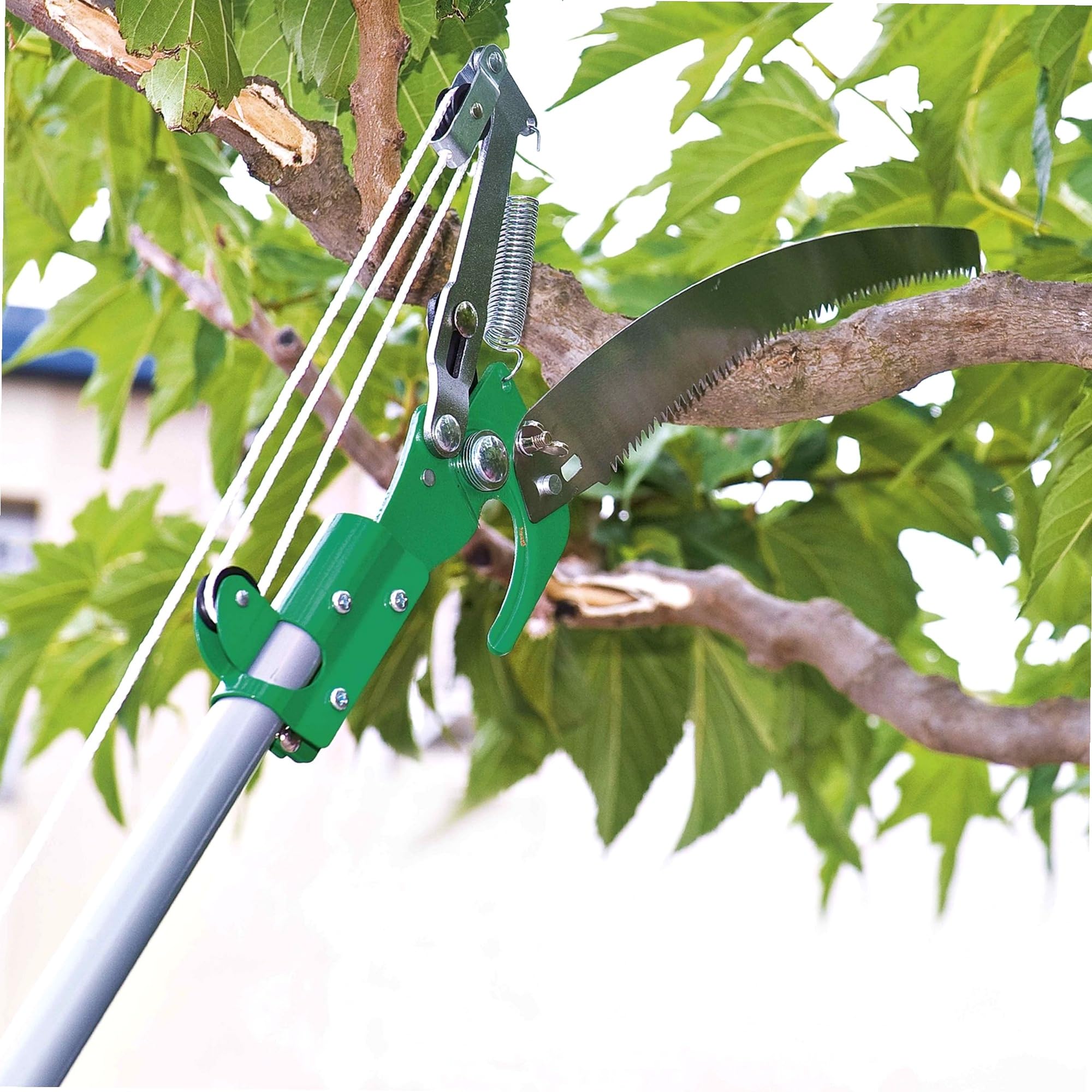 WERKA PRO - Élagueur Télescopique RIBILAND 815-Élagueur Hauteur Max 2,50 m-Capacité 30 mm-Modèle PROfessionnel, Vert/Acier