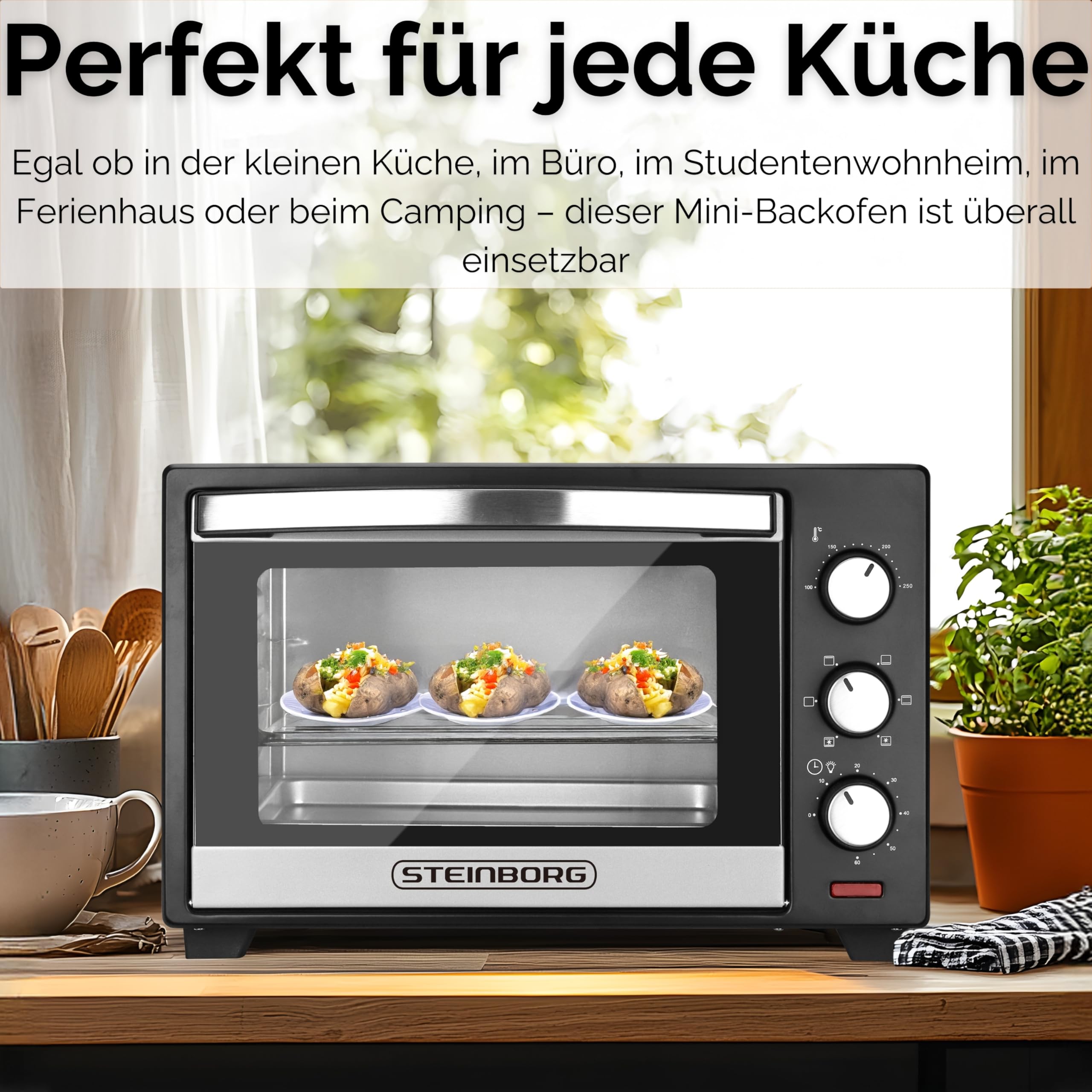 Steinborg® Mini Backofen 25 Liter Miniofen Elektro – Pizzaofen Tischbackofen 3-in-1 mit Ober-/Unterhitze & Umluft Konvektion, 1600 Watt Minibackofen mit 60 Min Timer & Krümelblech